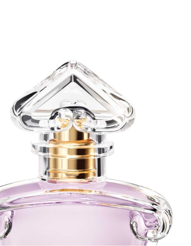 Insolence Edp